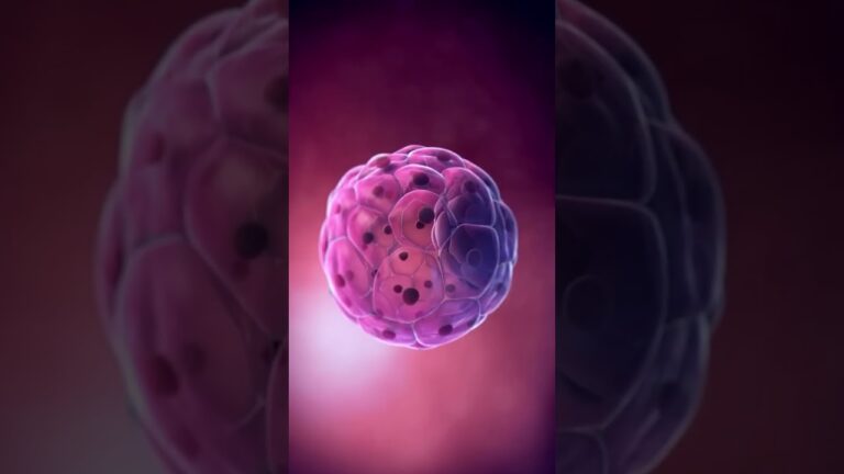 First Trimester Weight Loss: Causes & When to Worry I Dr. Sabita Kumari I Gynecologist