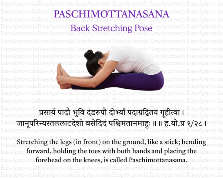 PASCHIMOTTANASANA (Seated Forward Bend Pose)