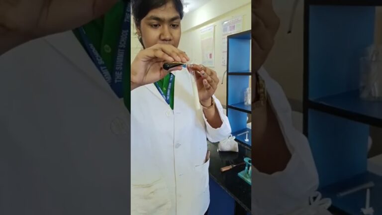 Food Adulteration Test 🧪 | Class 12 Food Nutrition & Dietetics 🍞🔍 #cbsepractical
