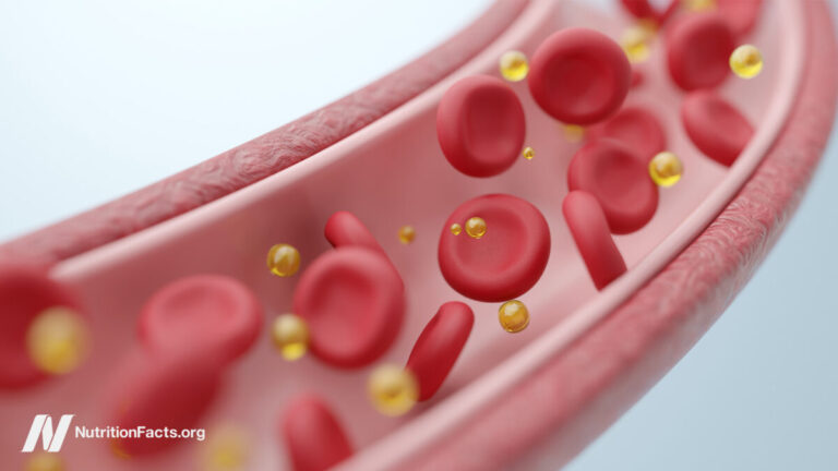 How a Single Meal Can Cripple Your Arteries and Lungs