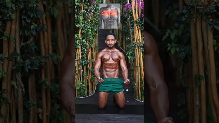 Beginner chest workout at home ⚡️ #trending #chestworkout #fitness