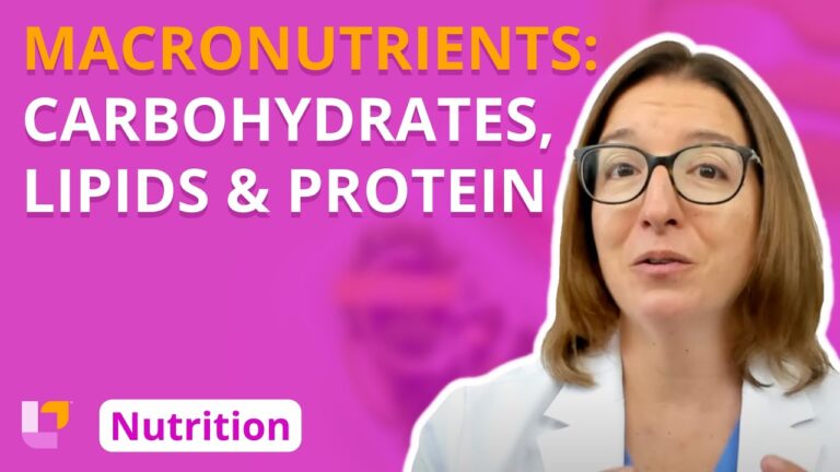Macronutrients: Carbohydrates, Lipids, Protein – Nutrition Essentials for Nursing | @LevelUpRN