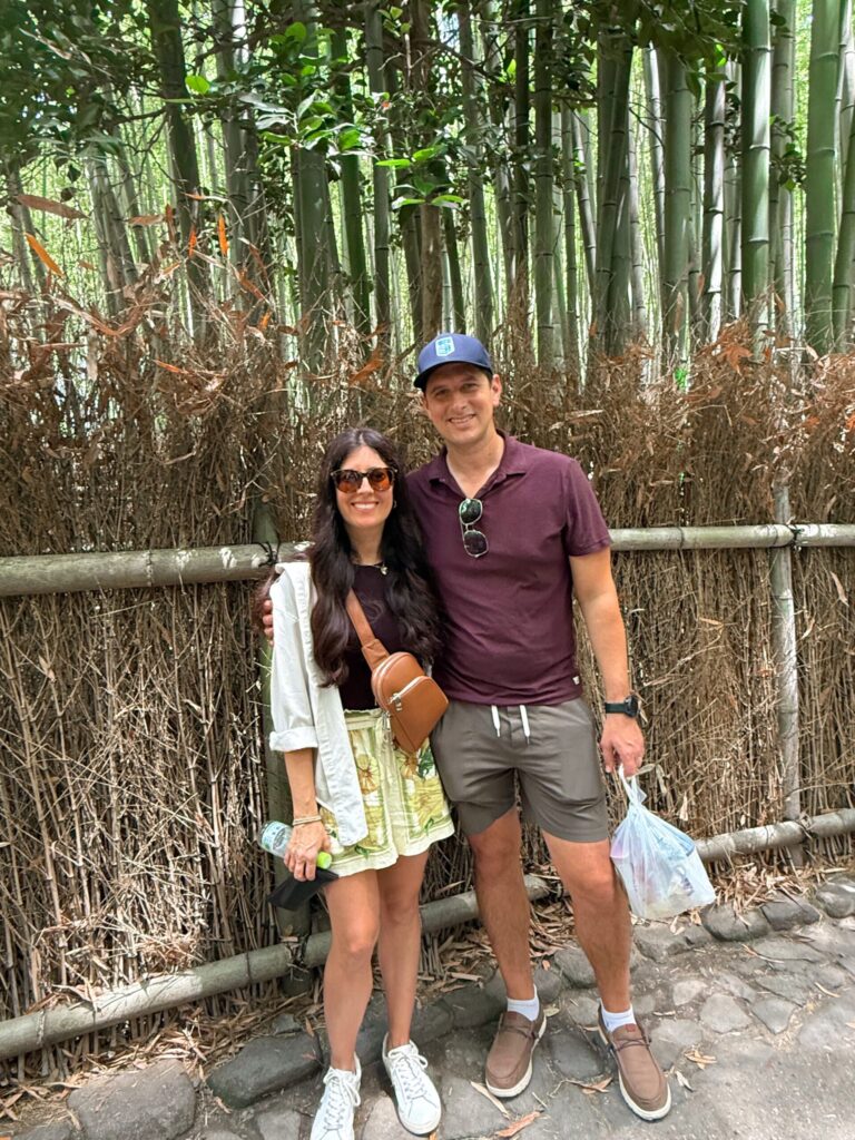 Kyoto recap, bamboo forest, and monkey park